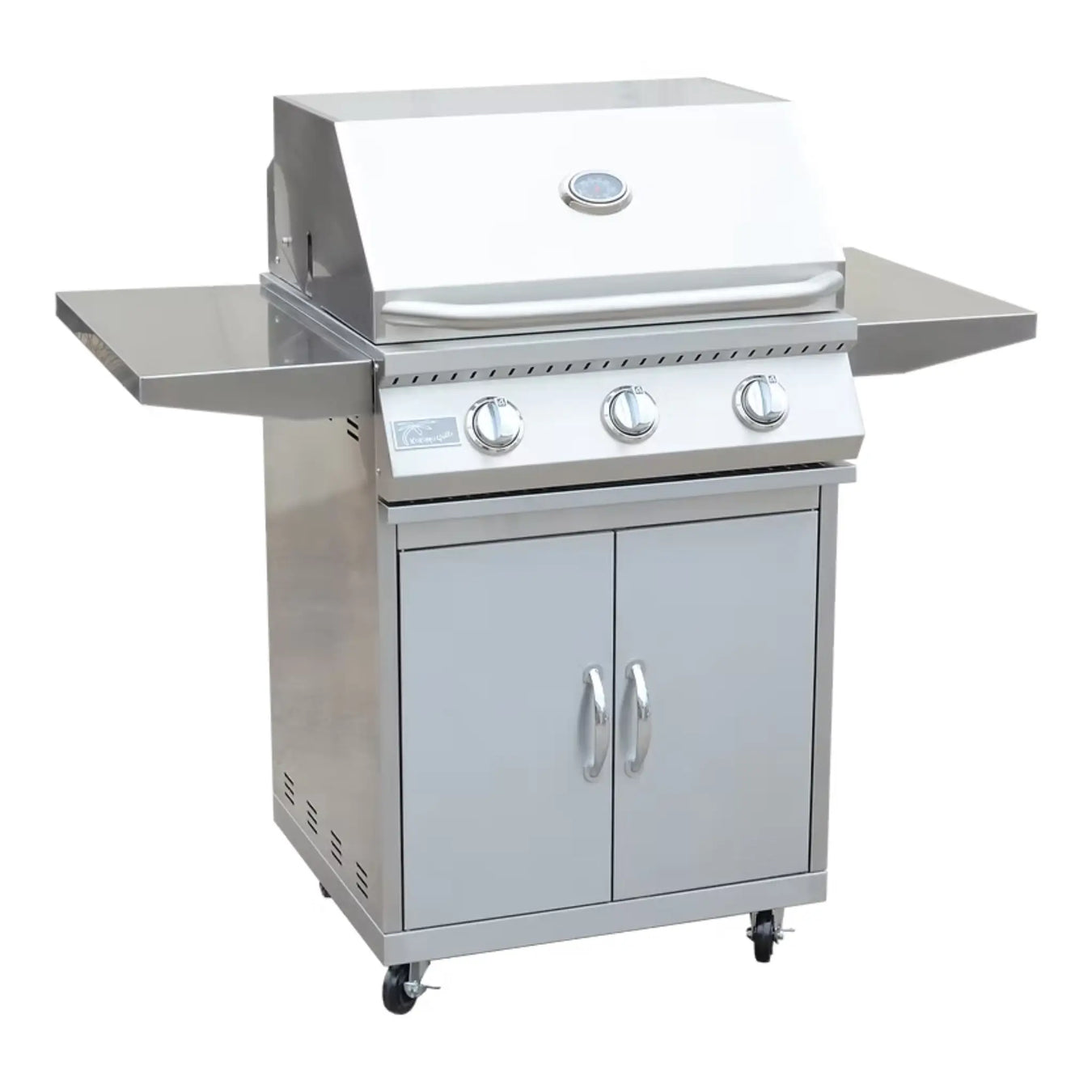 Grills and Outdoor Cooking