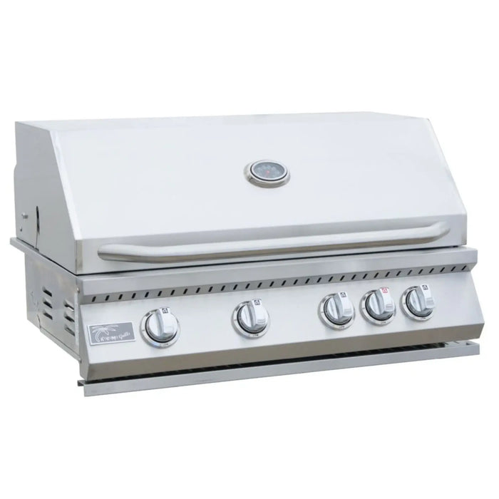 Stainless steel grill with five control knobs on a white background